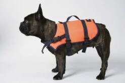 Zwemvest Voor Honden Besto (Type: Voor Honden Vanaf 40KG) -Varen Centrum Afbeelding 05 20429040 3 1