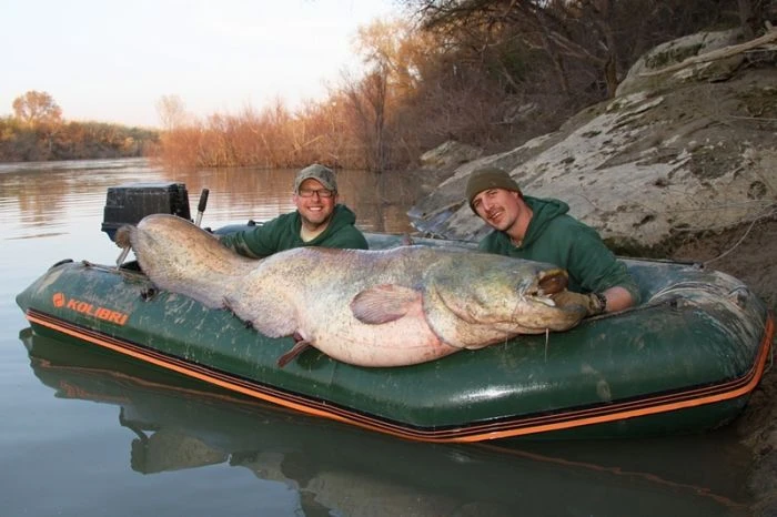 Kolibri KM-330D Professional Karperboot 6 Kolibri KM-330D Professional Karperboot - Afbeelding 6