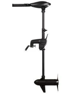 Haswing Osapian 55 Fluistermotor