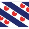 Bootvlag Friesland (Grootte: 20 X 30cm)